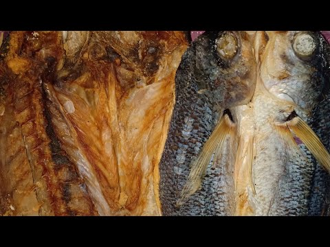 download lagu mp3 mp4 Cara Menghilangkan Rasa Asin Pada Ikan Asin, download mp3 Cara Menghilangkan Rasa Asin Pada Ikan Asin free download, download mp3 Cara Menghilangkan Rasa Asin Pada Ikan Asin