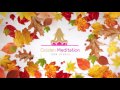 AUTUMN LEAVES LOGO ANIMATION