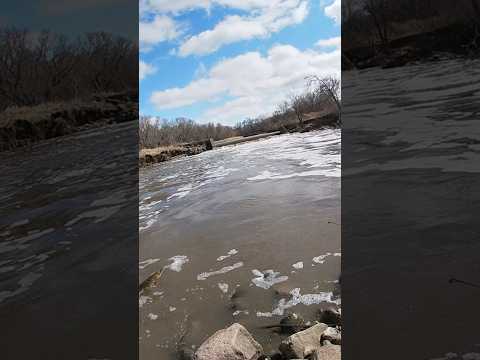 What Was This Fish Doing? #pleaseexplain #fishing #pike #musky #question #fishingvideo