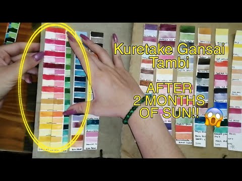 Watercolor lightfastness tests UPDATE | Beam Paints, Kuretake and more
