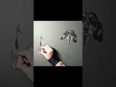 Proces   my pastels 