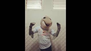 Download lagu story wa Persebaya meraih kemenangan mp3 Download lagu story wa Persebaya meraih kemenangan mp3