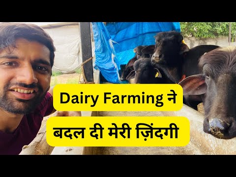 Dairy Farming ने बदल दी मेरी ज़िंदगी ॥ How Dairy Farming Changed My Life || Grewal Dairy Farm.