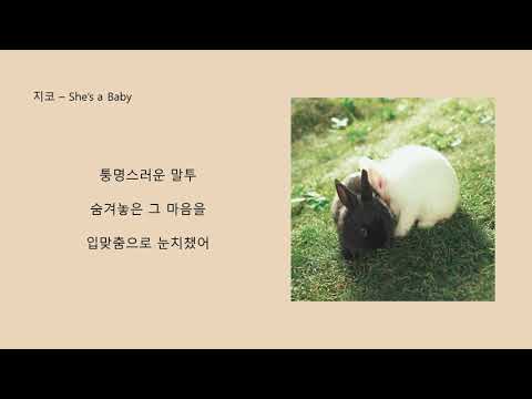 지코 - she's a baby/ 가사 첨부