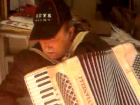 fisarmonica ammore amaro