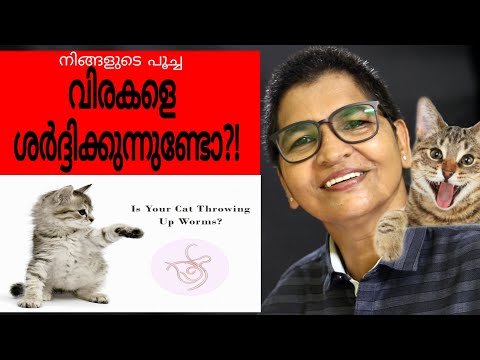 Know More About Tapeworms In Cats | War On Worms (Episode#4) | Nandaspetsus | Vanaja Subash