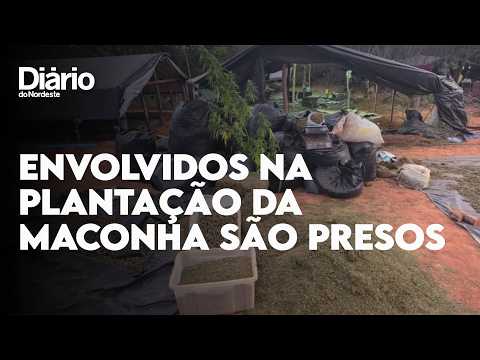 Dois homens envolvidos na plantação da fazenda da maconha são presos pela Polícia Civil 