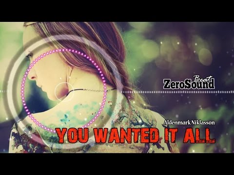 You Wanted It All by Aldenmark Niklasson - POP MUSIC