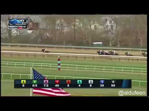 Wood Memorial S. G2 - win - Vino Rosso