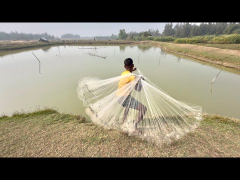 Net Fishing Video - Very Amazing Skill Cast Net Fishing In River - Best Net Fishing 