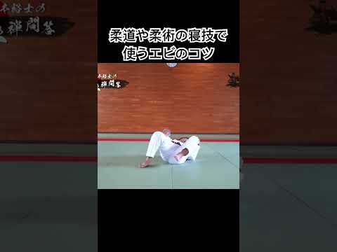 柔道や柔術で使うエビのコツを説明してみた！ #柔道 #柔術 #ブラジリアン柔術 #寝技 #エビ #ヒップエスケープ #judo #jiujitsu