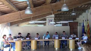 Ple ordinari del 29 de maig de 2025