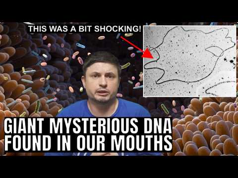 Massive DNA Structures of Unknown Origin Found In Our Mouths