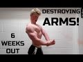 DESTROYING ARMS! | POSING | 6 Weeks Out