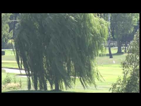 KV, 22. 9. 2019, 3. dostih - Cena šlechtitelů společnosti SELGEN