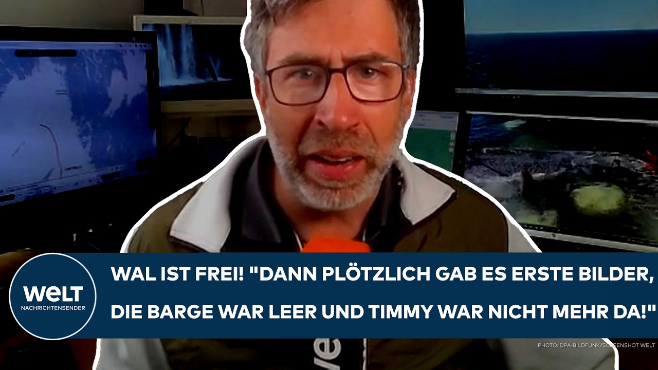 WAL IST FREI: "Dann plötzlich gab es erste Bilder, die Barge war leer und Timmy war nicht mehr da!"
