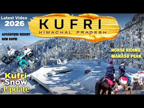 KUFRI  I SHIMLA KUFRI I KUFRI SNOWFALL UPDATE I ADVENTURE RESORT KUFRI I HORSE RIDING I FAGU VALLEY