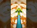What Happened To The Stand Arrows Jjba Jojosbizarreadventure Anime