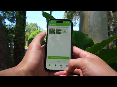 NatureMapr data collector