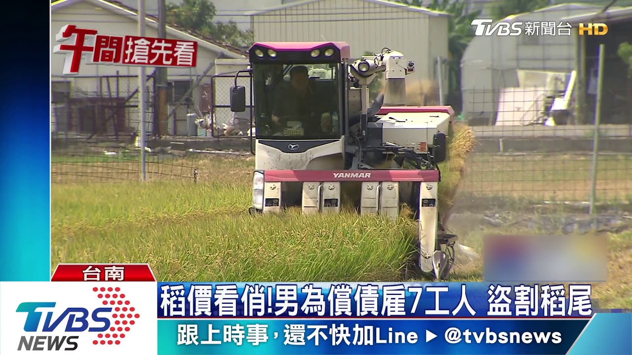 稻價看俏!男為償債雇7工人 盜割稻尾