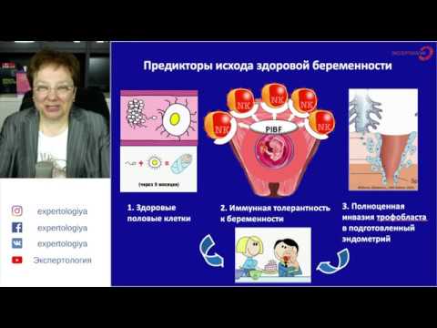 Экспертология | Прегравидарная подготовка основы Пустотина О.А.