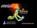 Matt Heafy (Trivium) Ascendancy Track by Track ...