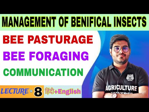 importance of beneficial insects management of benifical insects bsc agriculture 5th sem