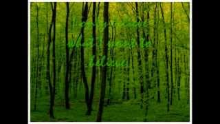 The Dandy Warhols Green lyrics