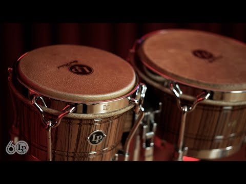 LP60 | Zebra "Dandy" Bongos