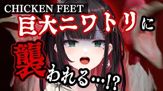 [Vtub] Neo-Porte 緋月ゆい Chicken Feet