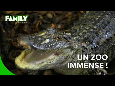 Le zoo du PAL : une arche de Noé XXL