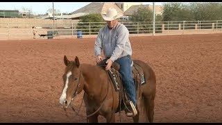 How to Choose Leather Split Reins for Horses with Ken McNabb