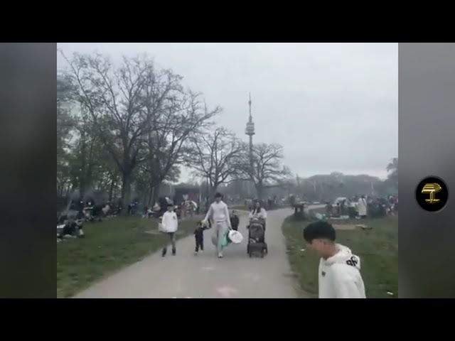 Viena 2025: Así es una invasión en toda regla