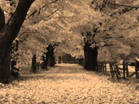 Mc-Relax ( Juran ) - Жёлтая листва  Video Rastatt