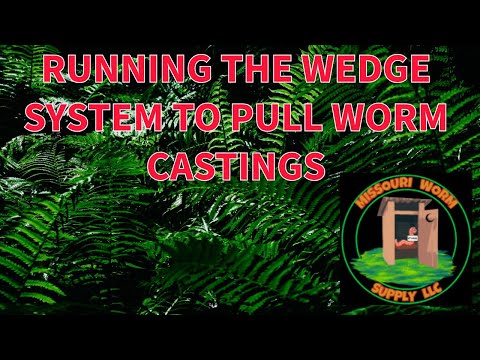 RUNNING THE WEDGE SYSTEM FOR WORM CASTINGS
