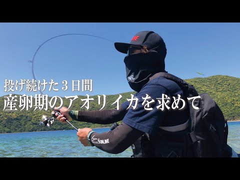 産卵期は終わり！？気難しい春のアオリイカを釣るために本気で挑む！！in鹿児島県奄美大島【山田ヒロヒト/ヤマラッピ】