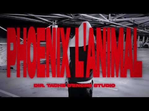 6ko and Tache d'encre Studio