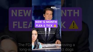 Bravecto Quantum 1 year Flea & Tick Preventative?! ⚠️ #dogmom