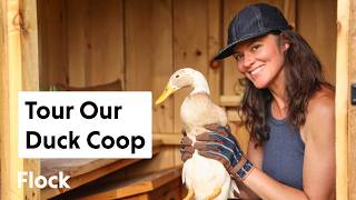 20 IMPROVEMENTS to Our NEW DUCK COOP — Ep. 374