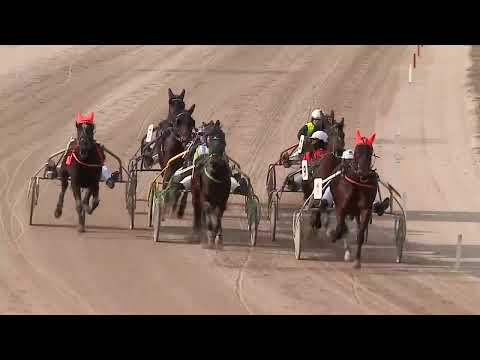 2023.02.11. 03. futam - 2023. ÉVI KINCSEM PARK KUPA I. FUTAMA HENDIKEP