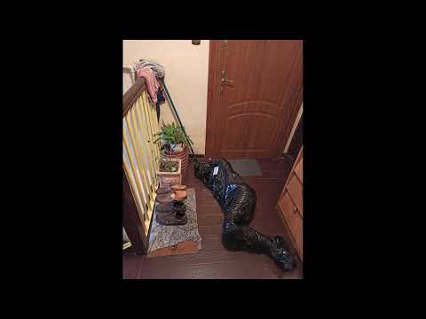 Paczka - YouTube