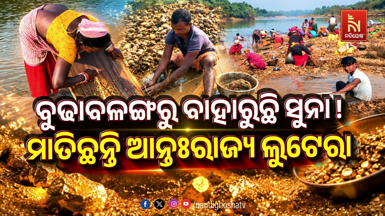 🔴Live |  ବୁଢାବଳଙ୍ଗରୁ ବାହାରୁଛି ସୁନା ! ମାତିଛନ୍ତି ଆନ୍ତଃରାଜ?