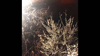 Cover art for go inside the box