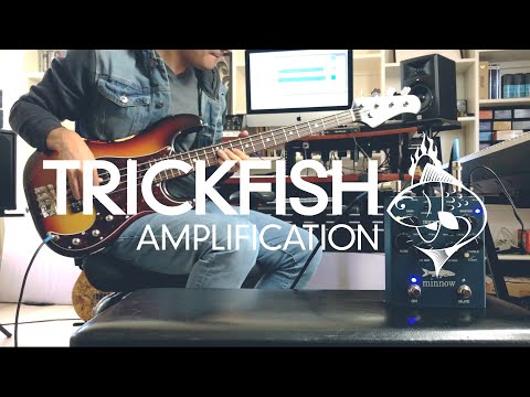 Trickfish Minnow image 3