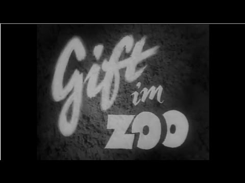 Gift im Zoo - Jetzt auf DVD! - mit Carl Raddatz und Irene von Meyendorff - Filmjuwelen