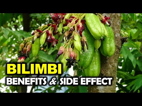 , title : 'Benefits and Side Effects of Averrhoa Bilimbi Fruit #shorts #bilimbi'