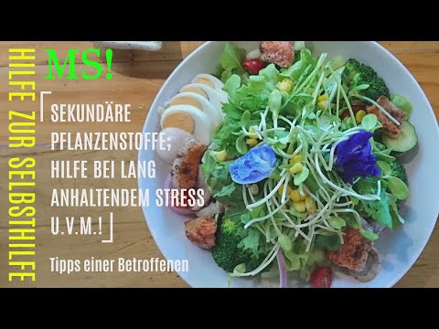 Kostenloser Diabetes-Screening Typ-1-Diabetes-Diät und Behandlung von Symptomen