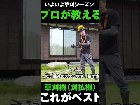 春の3月に芝刈りをしないのはなぜですか 芝刈りの時期 美しい肥料の与え方