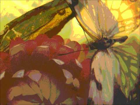 Lidia Jazgar i Galicja - Motyl