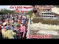 People Crowded To See Flood Discharge Of Tra Su And Tha La Dams Water Level Difference Between C